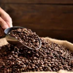 Todo lo que hay que saber sobre el café